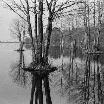 Morusy, łąki, olchy pod wodą, IV 1958 r