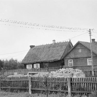 Jaskółki na drutach, Morusy 1972 r.